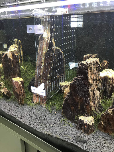BEGONDIS Trennwande für Aquarien für Mischzucht aus PET/PETP, Aquarium Fish Tank Divider. 3030, 3030