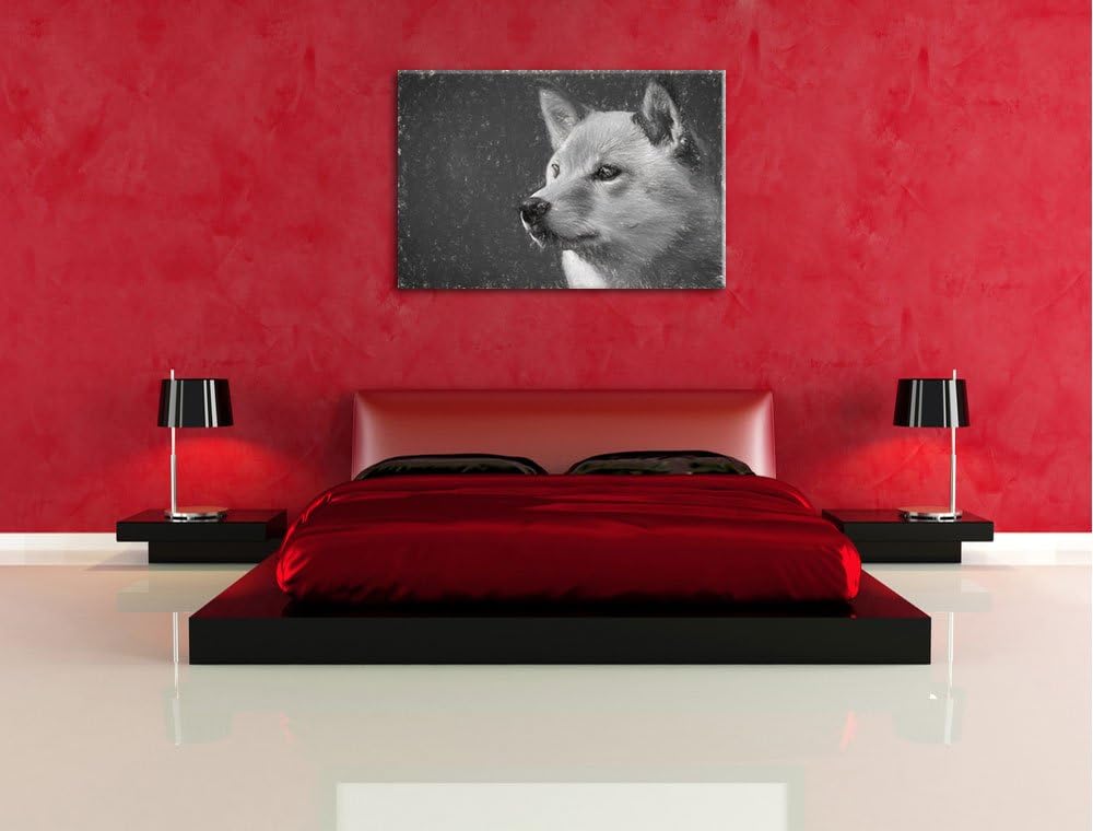anmutiger Finnen-Spitz im Gras NewArt Format: 100x70 cm auf Leinwand, XXL riesige Bilder fertig gera