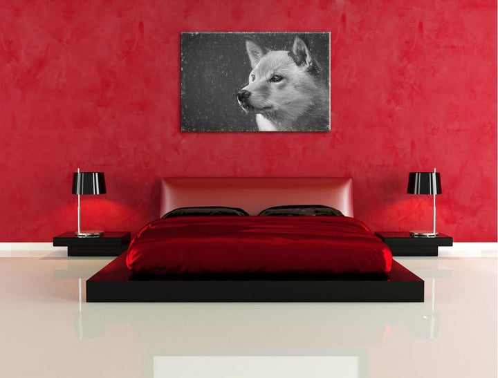 anmutiger Finnen-Spitz im Gras NewArt Format: 100x70 cm auf Leinwand, XXL riesige Bilder fertig gera