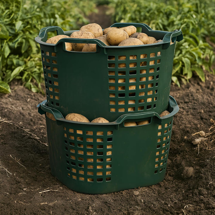 BURI 3x Erntekorb Gartenkorb lebensmittelecht - 50L Kartoffelkorb Obstkorb Laubkorb grün, drehstapel