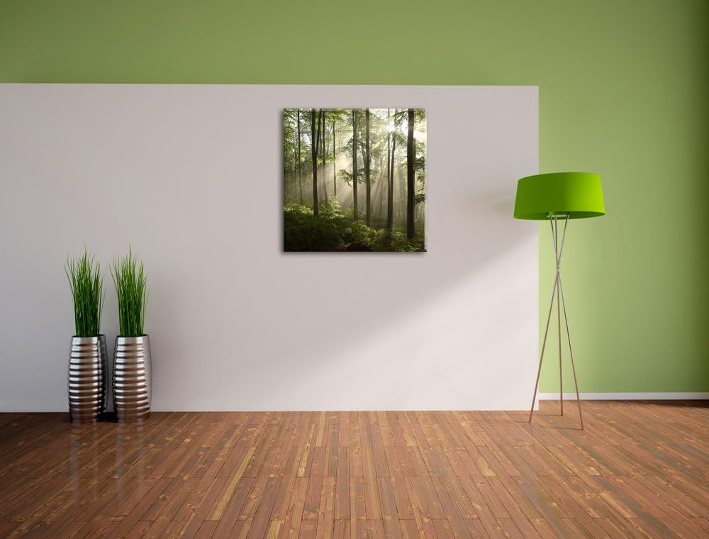Sonnenstrahlen im Wald, Format: 70x70 auf Leinwand, XXL riesige Bilder fertig gerahmt mit Keilrahmen
