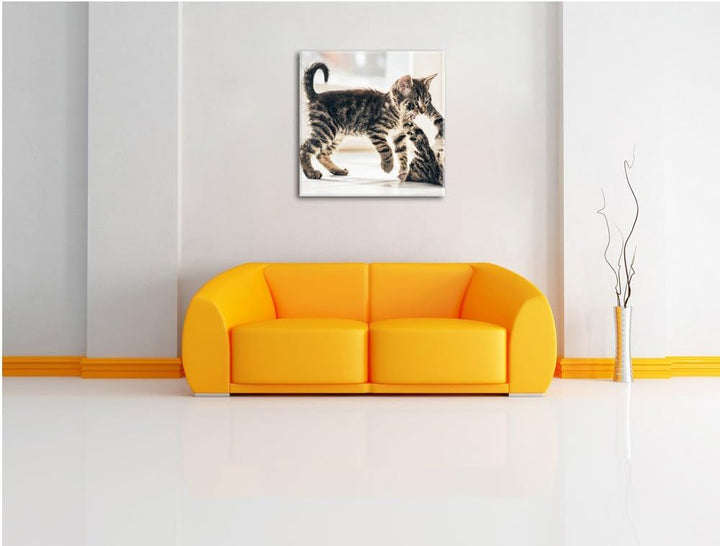 Fighting Cats, Format: 70x70 auf Leinwand, XXL riesige Bilder fertig gerahmt mit Keilrahmen, Kunstdr