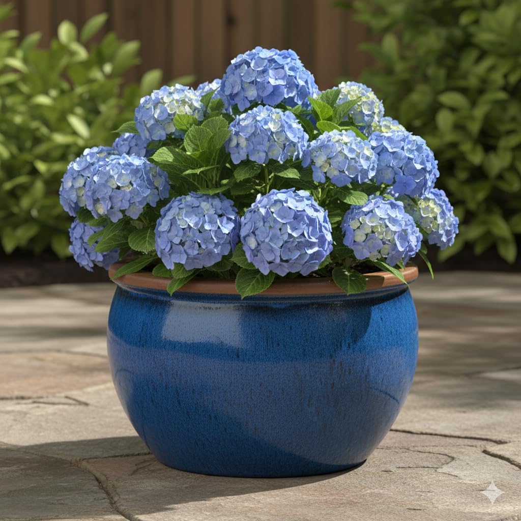 Teramico Blumentopf Pflanzgefäss Übertopf Modell Bavaria Grün Blau Verschiedene Grössen - absolut fr