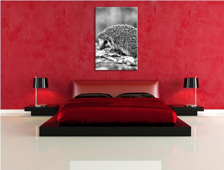 Monocrome, Igel im Laub , Format: 100x70 auf Leinwand, XXL riesige Bilder fertig gerahmt mit Keilrah