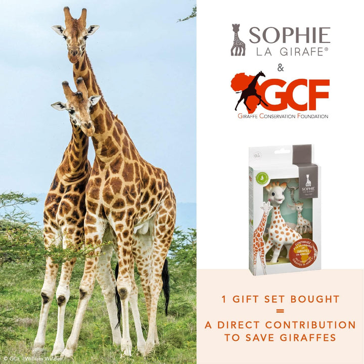 SOPHIE LA GIRAFE Vedes Grosshandel GmbH 2 Unité (Lot de 1), 2 Unité (Lot de 1)