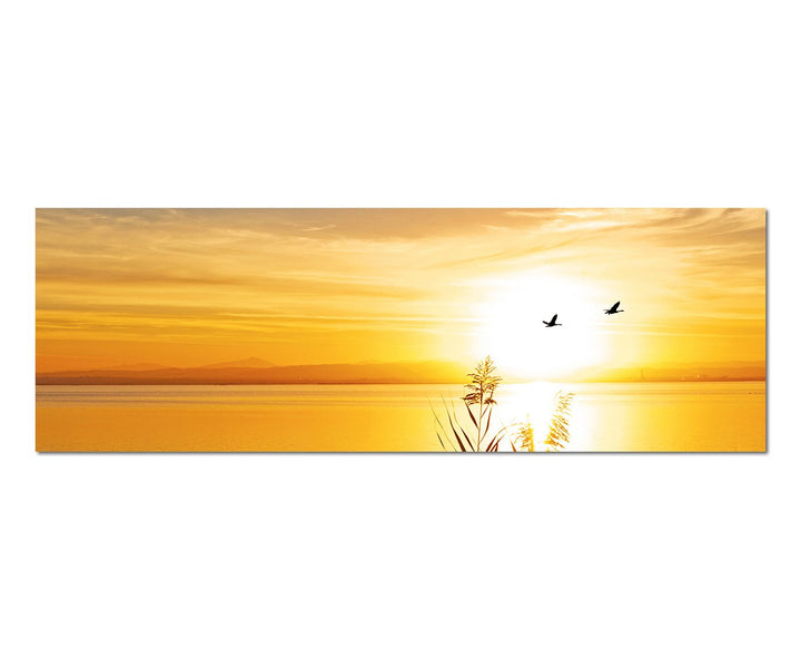 Paul Sinus Art Panoramabild auf Leinwand und Keilrahmen 150x50cm See Gräser Vögel Sonnenuntergang