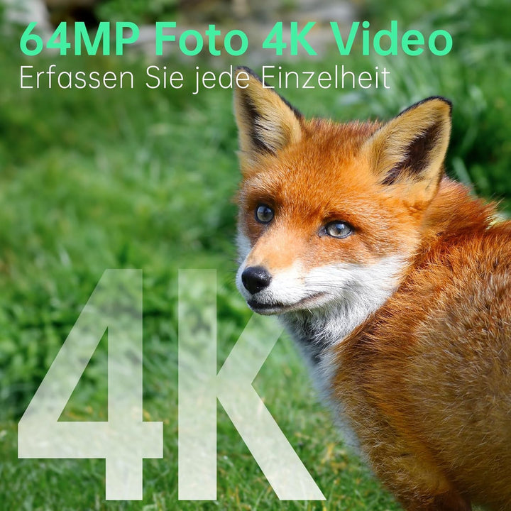4K 64MP Wildkamera mit Handyübertragung APP, Solar WLAN Bluetooth Eingebaute 5000mAh, 64GB Speicherk