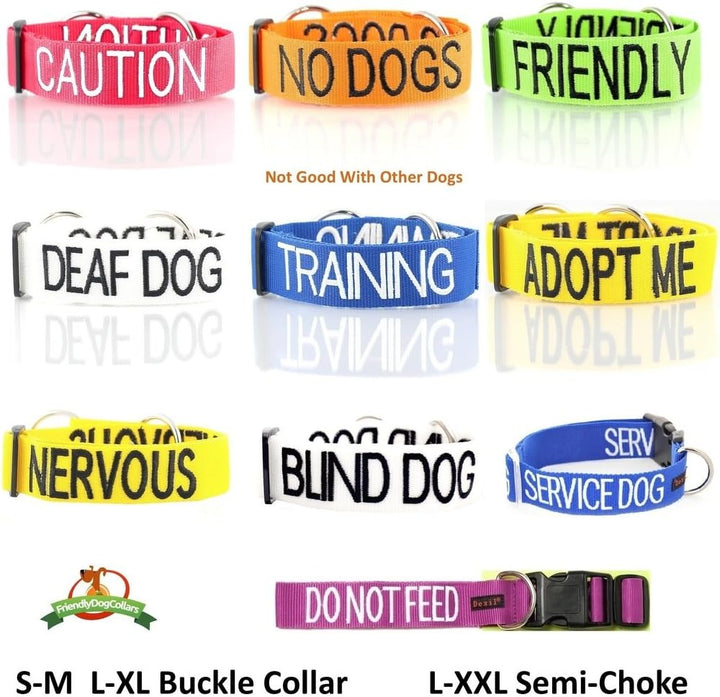 Dexil Limited Trainingsleine für Hunde, Blau, farbcodiert, 6 cm oder 1,8 m oder 1,8 m 6 Foot Leash,