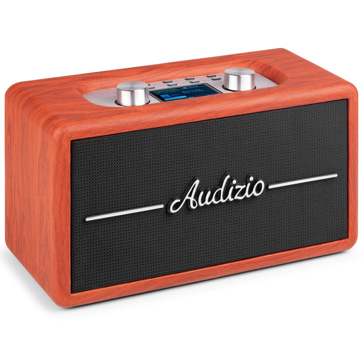 Audizio Tune60 - DAB Radio mit Bluetooth Lautsprecher, Fernbedienung, FM, 40 Watt, Batterie- Netzbet