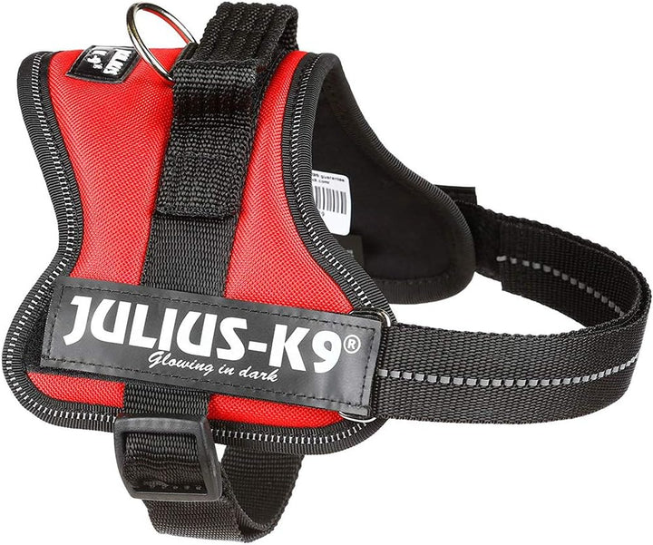 K9 Powergeschirr, Grösse: XS/Mini-Mini, Aquamarine Anthrazit M/0, Anthrazit M/0