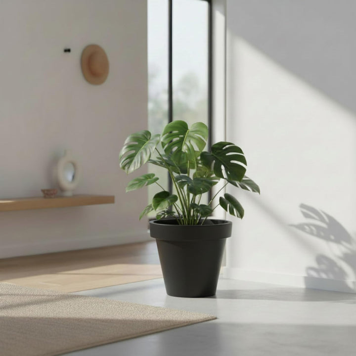 Spetebo Kunststoff Pflanzkübel L gross - 48 cm/anthrazit - Blumenkübel rund für Aussen und Innen - G