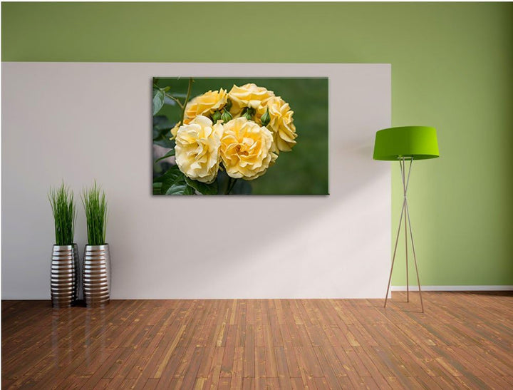 Weiss gelbe Rose Blumen USA Bild auf Leinwand, XXL riesige Bilder fertig gerahmt mit Keilrahmen. Kun