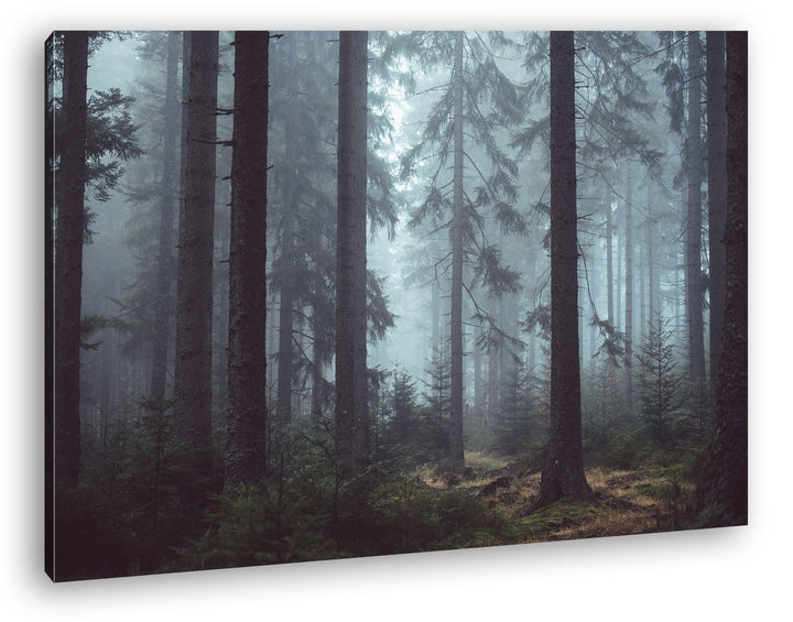 deyoli mysteriöser Nadelwald Format: 80x60 als Leinwand, Motiv fertig gerahmt auf Echtholzrahmen, Ho