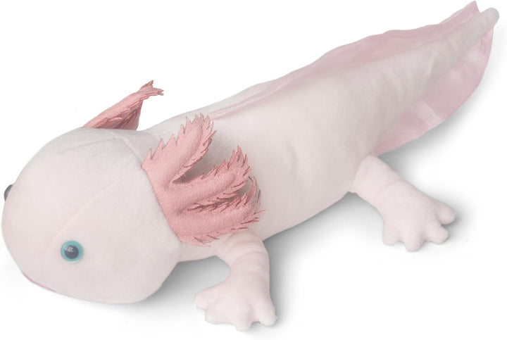 Axolotl