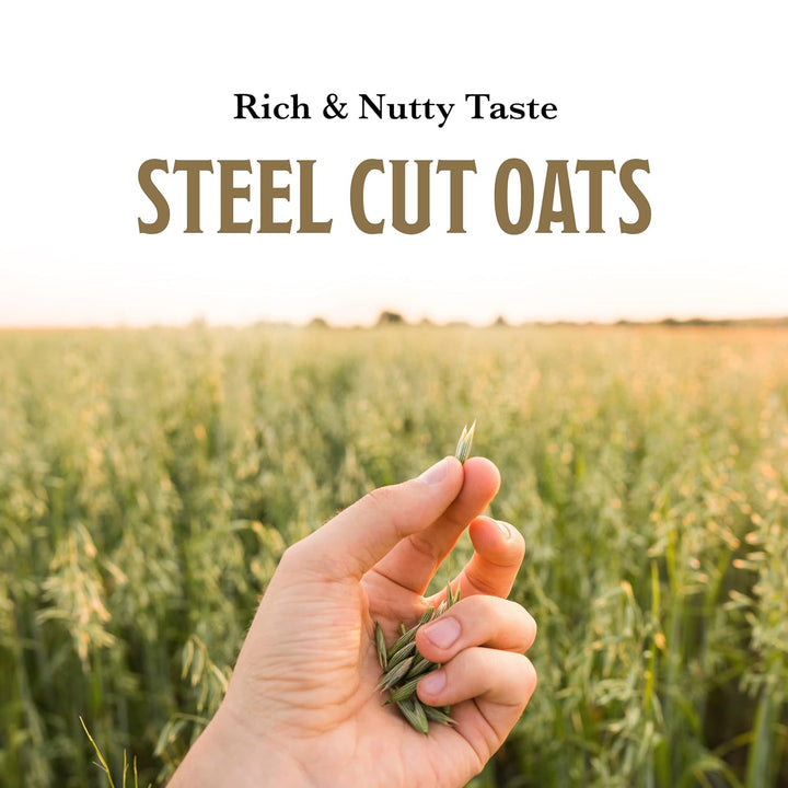 McCann Irish Oatmeal, Quick & Easy Cut Stahl Hafer, 24 Unzen (680 g)