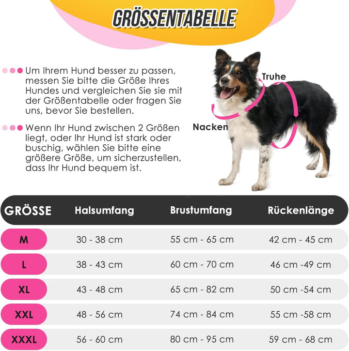 Hundemantel Winter für Grosse Hunde, Wasserdicht Hundejacke mit warmem Fleecefutter und Halsband, Wi