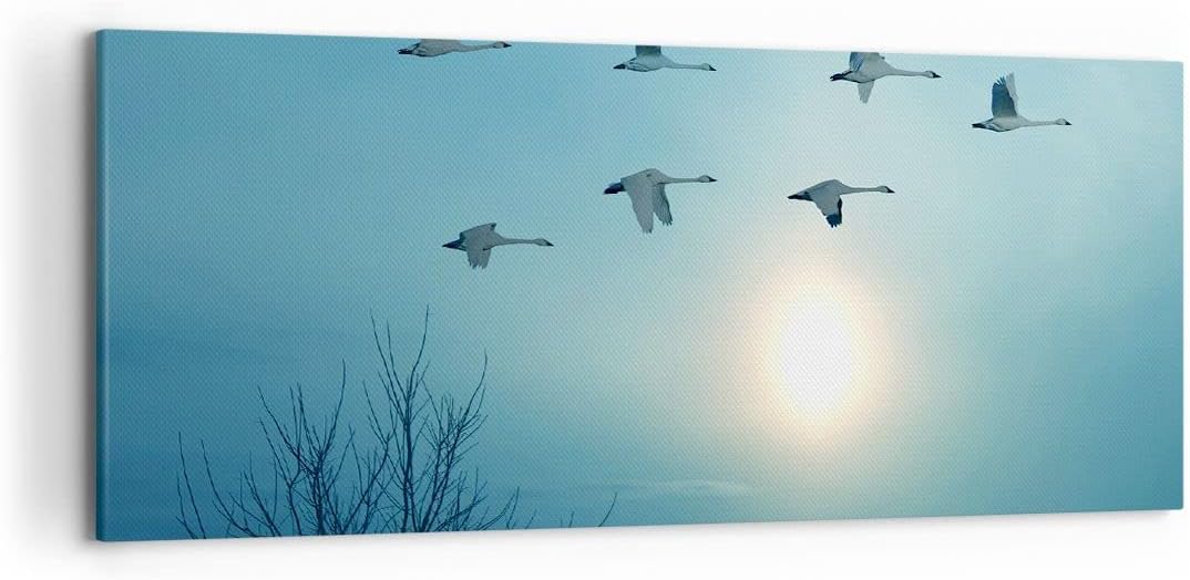 Wandbilder Dekoration Wohnzimmer Storch Vogel Natur Panorama Bilder auf Leinwand 120x50cm Leinwandbi