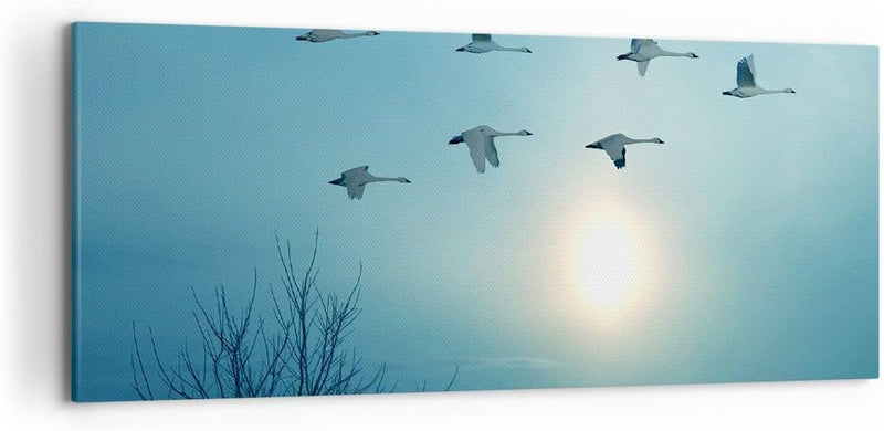 Wandbilder Dekoration Wohnzimmer Storch Vogel Natur Panorama Bilder auf Leinwand 120x50cm Leinwandbi