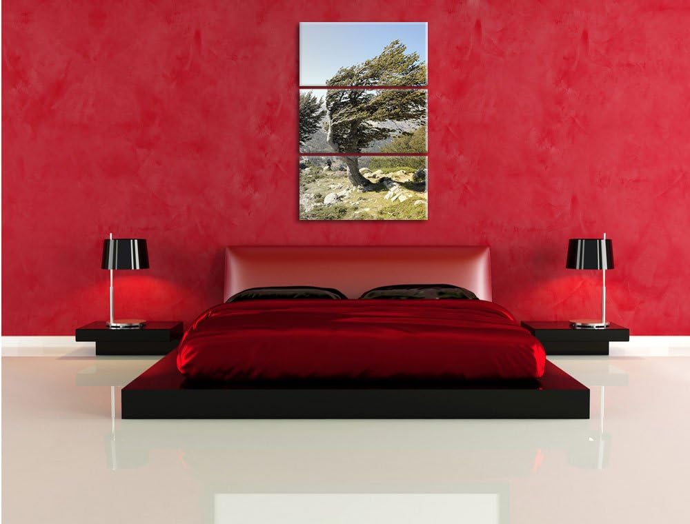 Pixxprint Alter Schiefer Baum in den Bergen schwarz/weiss 3-Teiler Leinwandbild 120x80 Bild auf Lein