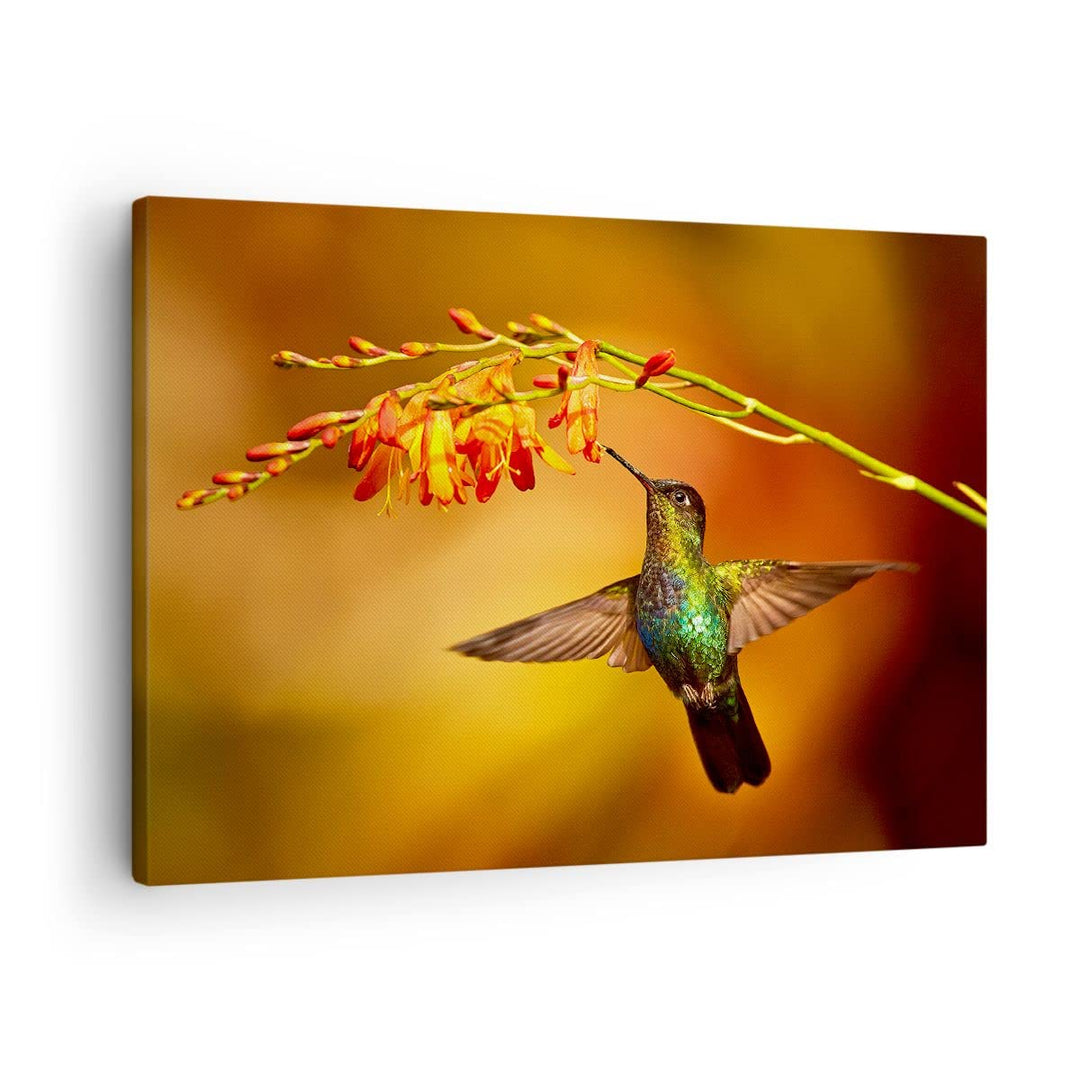 Bilder auf Leinwand Kolibri Vogel Sommer Leinwandbild mit Rahmen 70x50cm Wandbilder Dekoration Wohnz