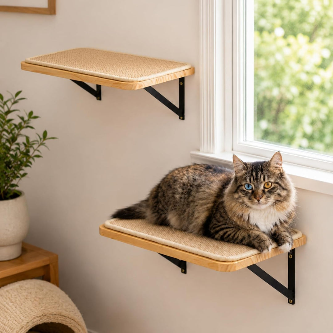 2PC Katzen Kletterwand, Katzenwandmöbel mit Kratzmatte, Wandmontiertes Massivholz Schlafplattform fü