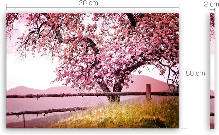 ge Bildet Bild auf Leinwand | Frühlingsbaum - Natur Baum Rosa Pink A in 120x80 cm als Wandbild XXL |