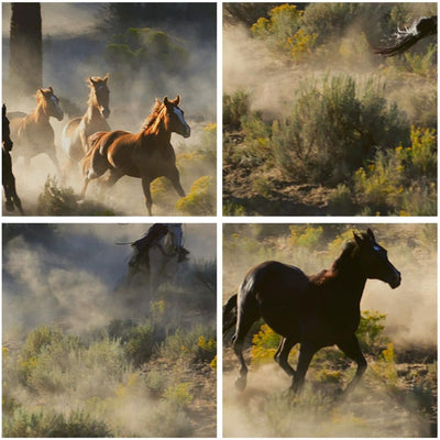 Panorama Bilder auf Leinwand 100x40cm Leinwandbild Cowboy Cowgirl Pferd Gross Wanddeko Bild Schlafzi