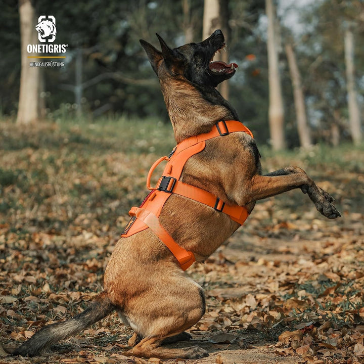 OneTigris Hundegeschirr, T-Bone Taktisches Geschirr mit 2 Griff Ausbruchsicher Einstellbar Brustgesc