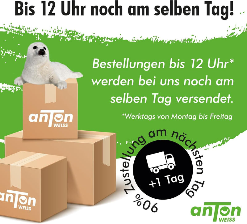 Anton Bad- und Küchenfarbe | Frische Weiss | Spezialfarbe | Direkt auf Schimmel mit Sofortwirkung &