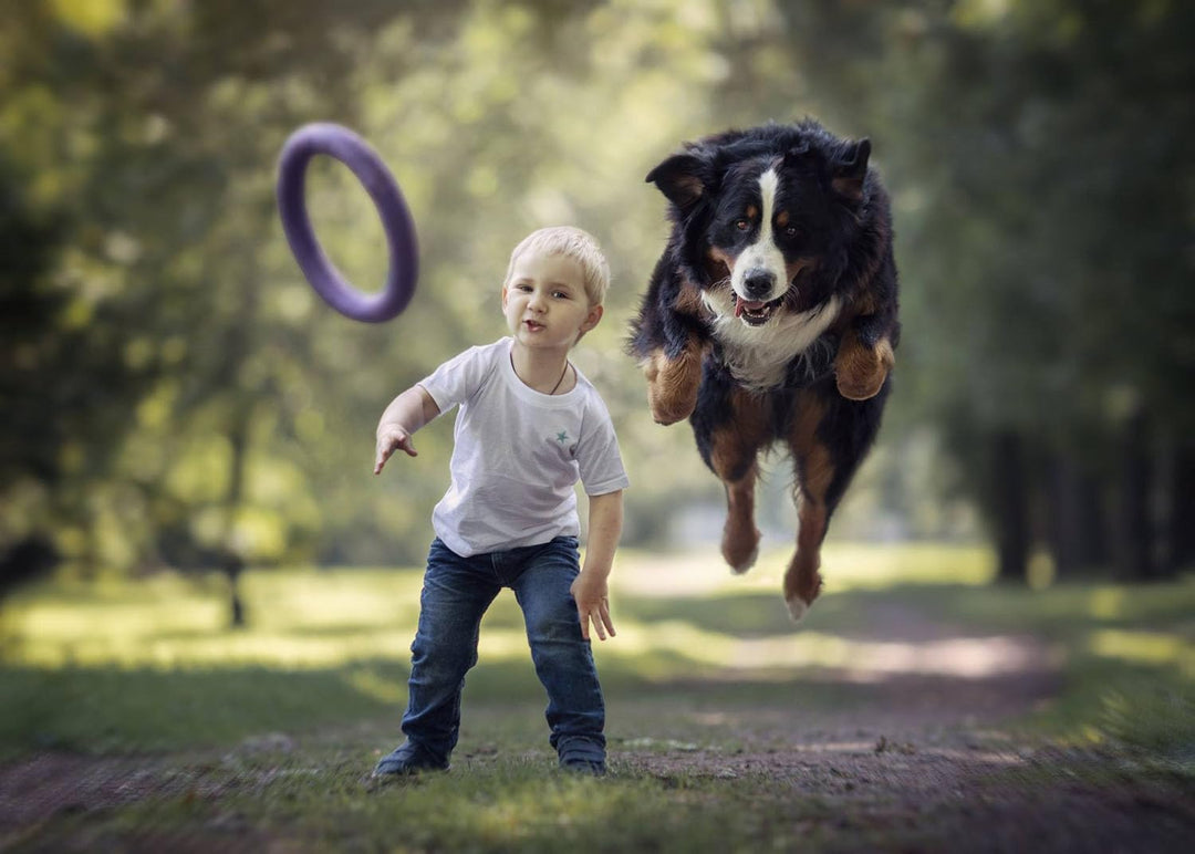 Puller Standard, 2 Stück, Spielringe, Fitnessgerät für Hunde, Interaktives Spielzeug für Hunde,Wasse