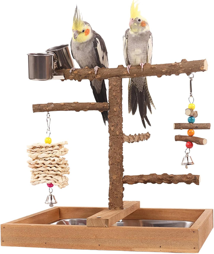 Vogelspielplatz Wellensittich Spielplatz Spielzeug, Grosser Vogel Spielplatz mit Sitzstangen Hängesp