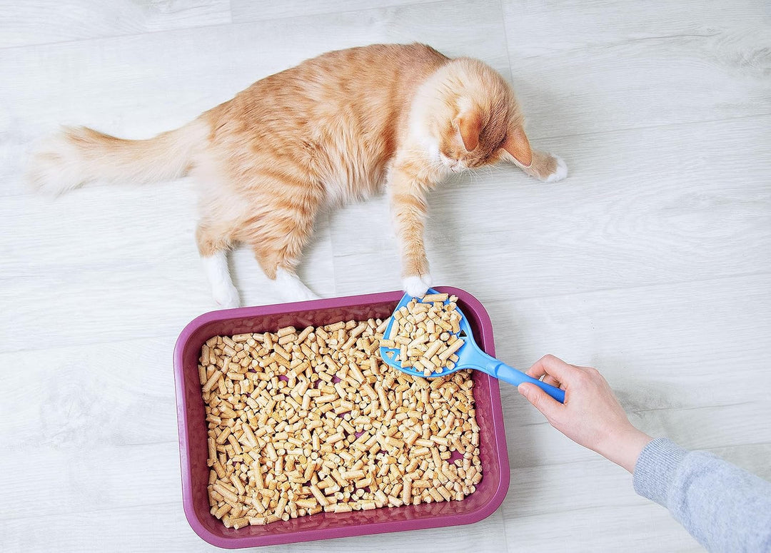 Katzenstreu, Katzenstreu Pellets Holz, Holzpellets Kaninchen für Geruchs und Feuchtigkeitskontrolle,