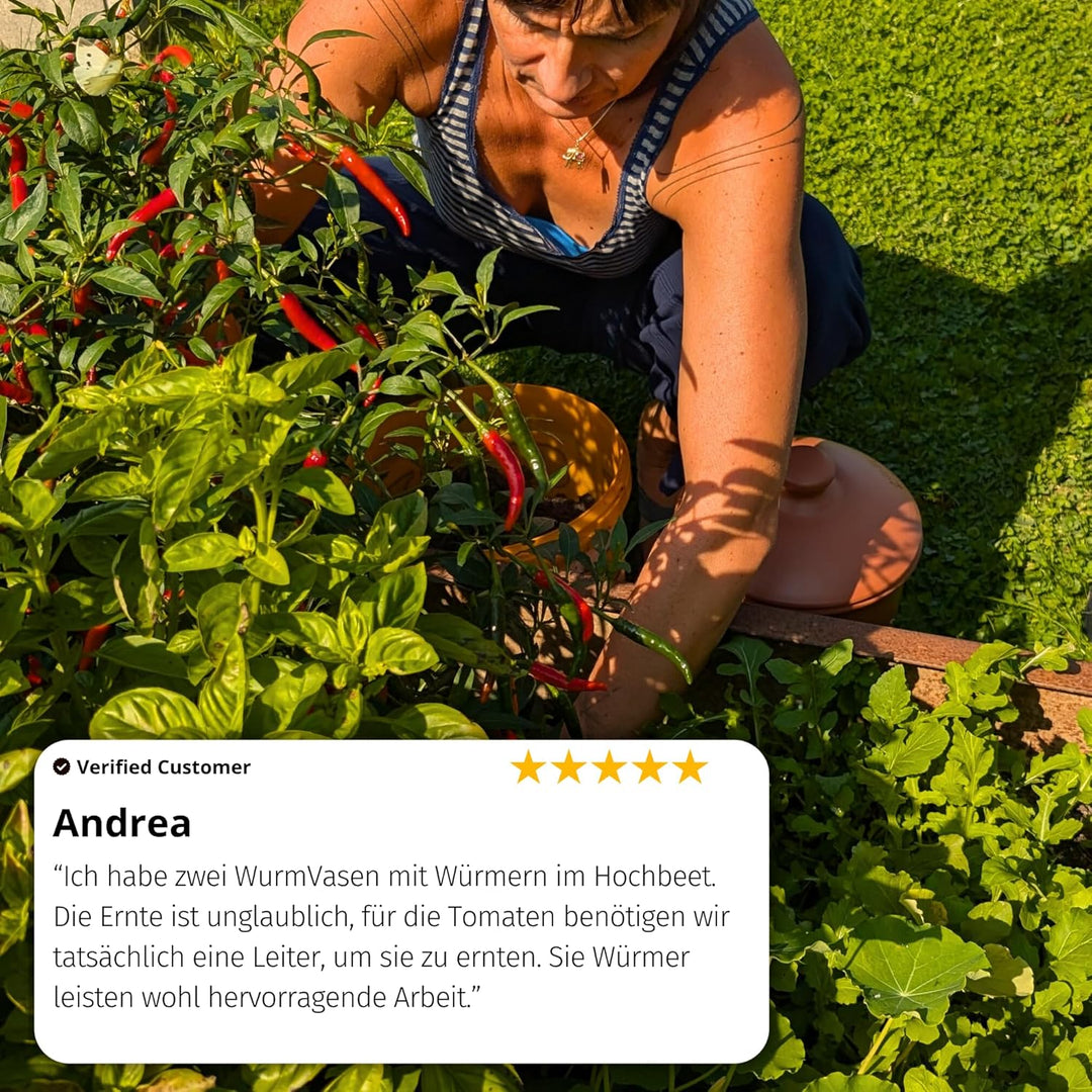 5L Wurmvase aus Ton | Beetkomposter zum Eingraben, 5L