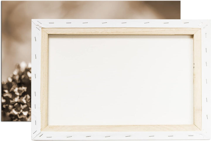 deyoli lieblicher Schmetterling Effekt: Sepia Format: 80x60 als Leinwandbild, Motiv fertig gerahmt a