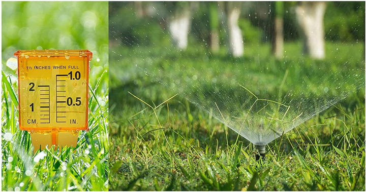 Regenmesser Sprinkler-MessgeräT (12 StüCk) für Rasen- und Garten-WassermessgeräT Weithals