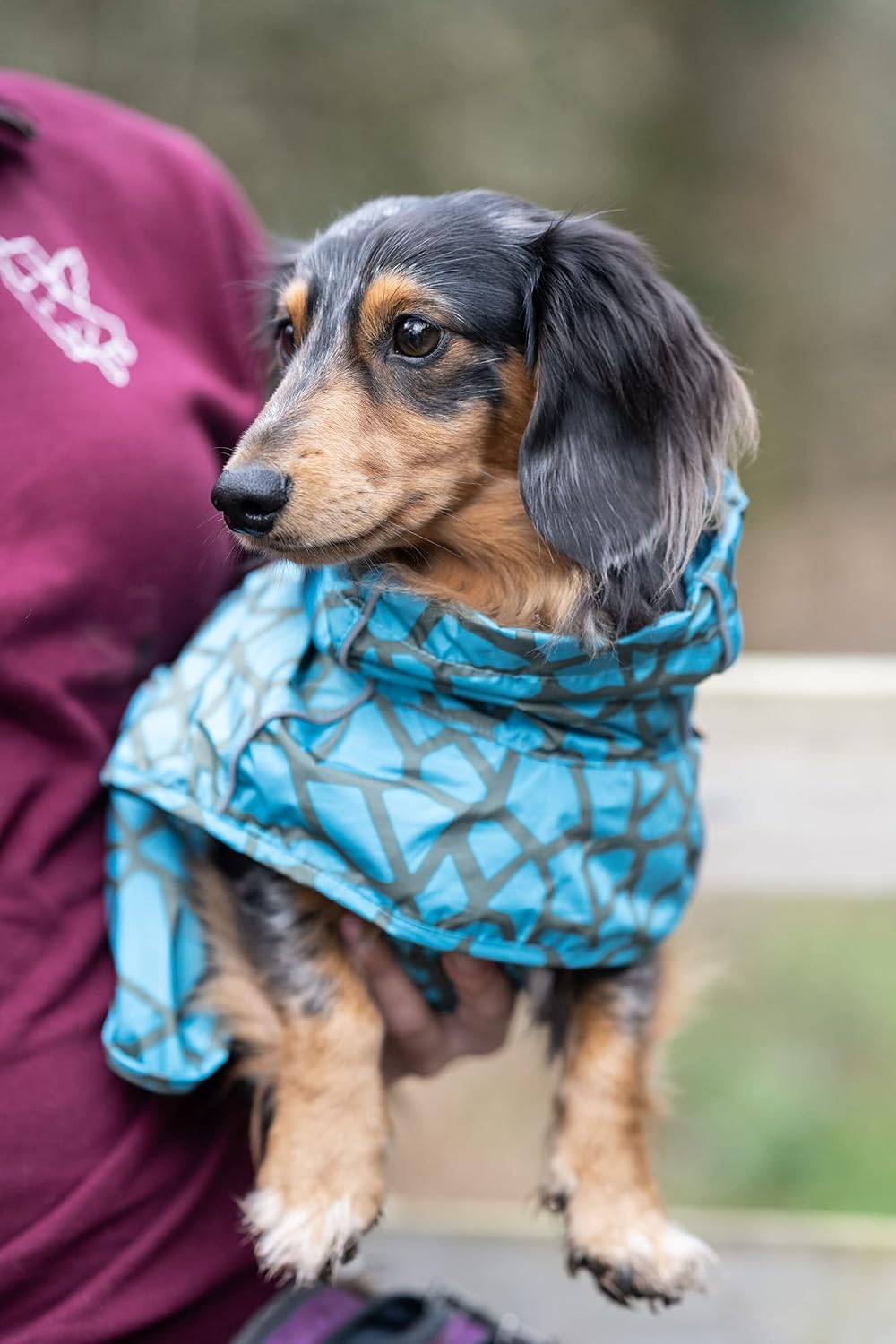 Rukka Pets HAYTON WARM Raincoat Regenmantel für Hunde Aqua 55 55 Aqua, 55 Aqua