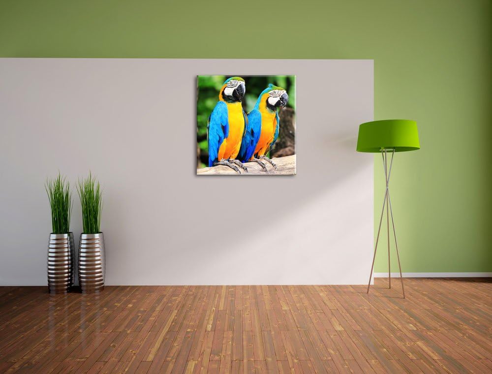 Zwei Papageien, Format: 70x70 auf Leinwand, XXL riesige Bilder fertig gerahmt mit Keilrahmen, Kunstd