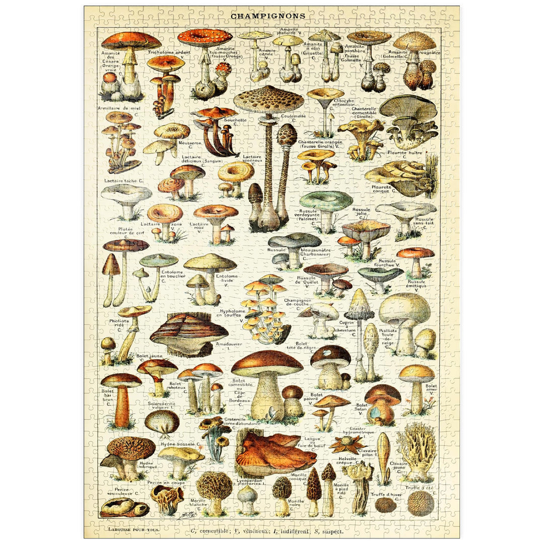 Champignons - Pilze für Alle, Vintage Art Poster, Adolphe Millot - Premium 1000 Teile Puzzle - MyPuz