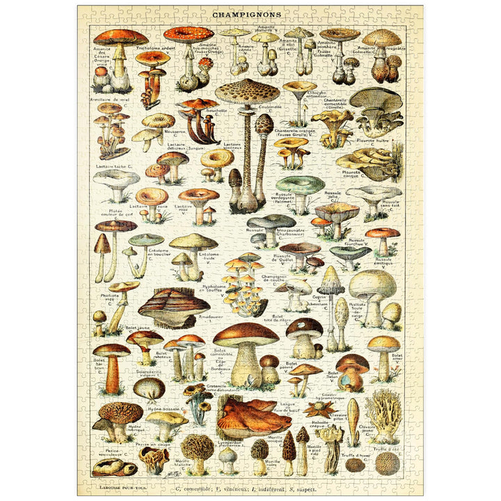Champignons - Pilze für Alle, Vintage Art Poster, Adolphe Millot - Premium 1000 Teile Puzzle - MyPuz
