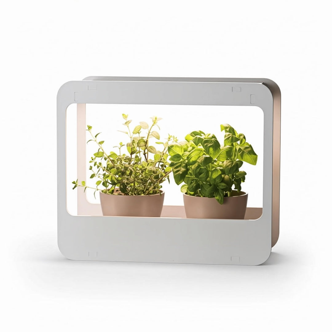 Romberg Homegarden mit LED-Beleuchtung | Zimmergewächshaus | Minigewächshaus | Weiss | 50.5 x 21 x 4