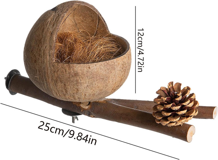 Vogelnest Aus Natürlichem Kokosnuss Muschel | Kokos Gehäuse Vogel Nest Mit Zweigen Und Kokosraspeln