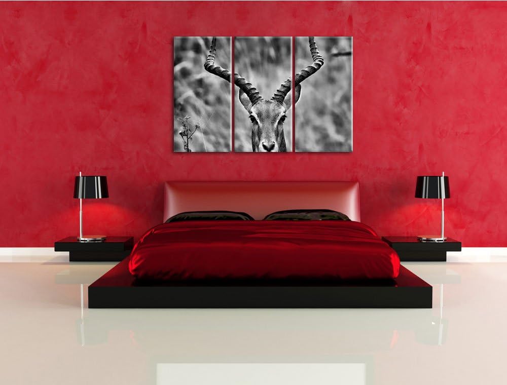 Pixxprint prächtige Dorkasgazelle als Leinwandbild/Grösse: 3 Teilig (120x80) cm/Wandbild/Kunstdruck/