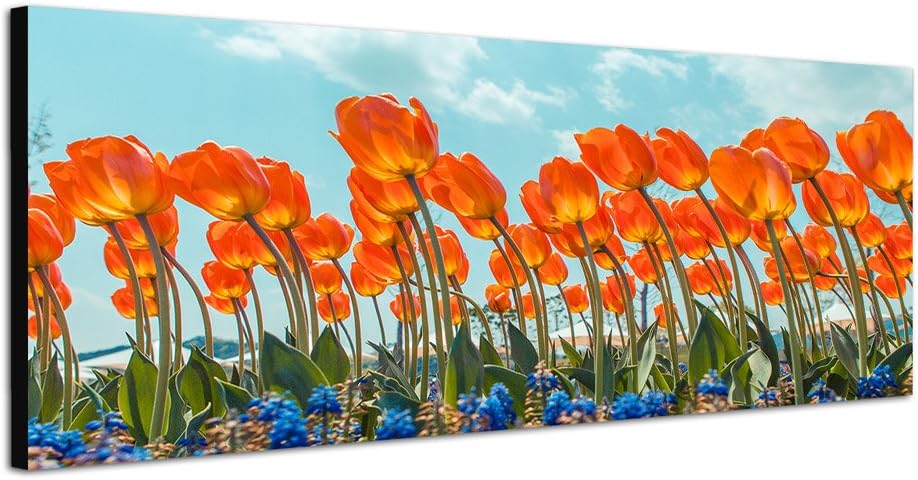 Paul Sinus Art Panoramabild auf Leinwand und Keilrahmen 120x40cm Tulpenfeld Blumen Himmel Frühling