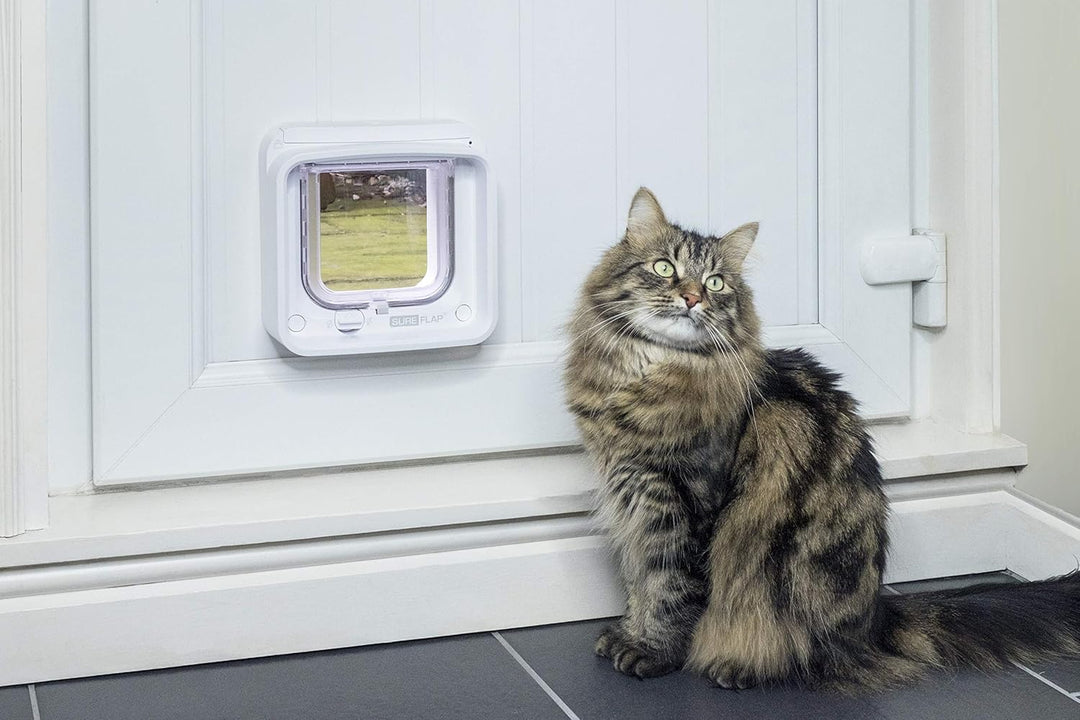 Sure Petcare SureFlap Mikrochip-Katzenklappe Connect, kompatibel mit Smartphone-App, Einbau in Türen