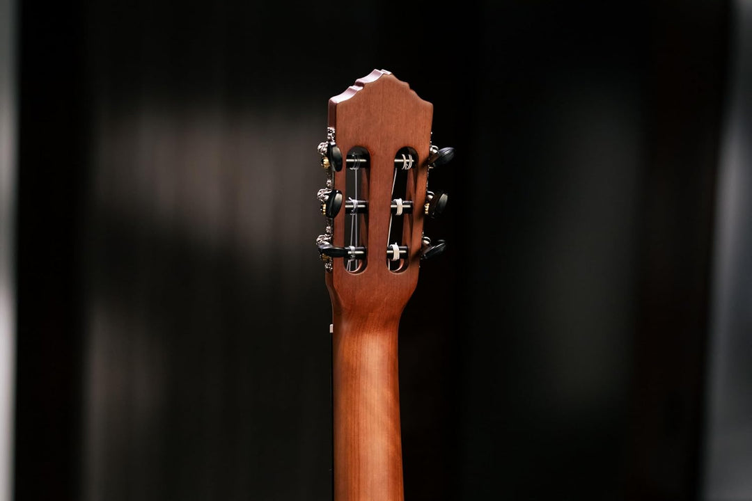 Ortega Guitars Full Size Konzertgitarre - Student Series - Catalpakorpus mit Fichtendecke (RST5M)
