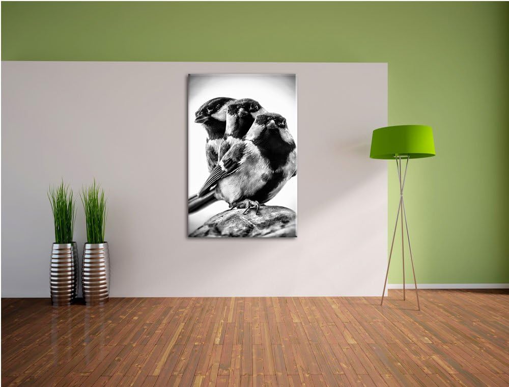 Pixxprint schöne Blaumeisen / 100x70cm Leinwandbild bespannt auf Holzrahmen/Wandbild Kunstdruck Deko