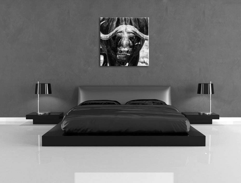 Wasserbüffel Schwarz/weiss, Format: 70x70 auf Leinwand, XXL riesige Bilder fertig gerahmt mit Keilra