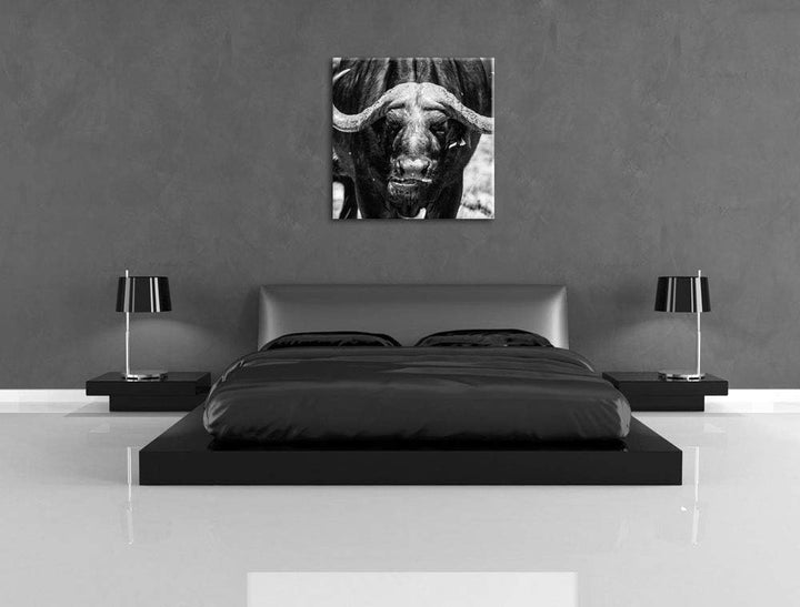 Wasserbüffel Schwarz/weiss, Format: 70x70 auf Leinwand, XXL riesige Bilder fertig gerahmt mit Keilra