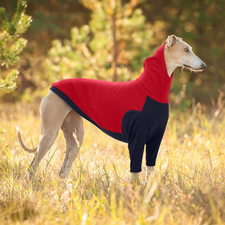 Whippet Mantel, Hundepullover Windhund Hundemantel Windhund Greyhound Sweater Fleece Whippet Kleidun