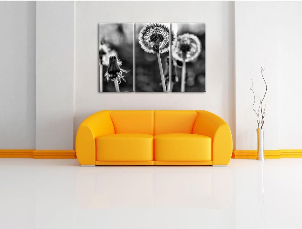 Pixxprint Pusteblume als Leinwandbild/Grösse: 3 Teilig (120x80) cm/Wandbild/Kunstdruck/fertig bespan